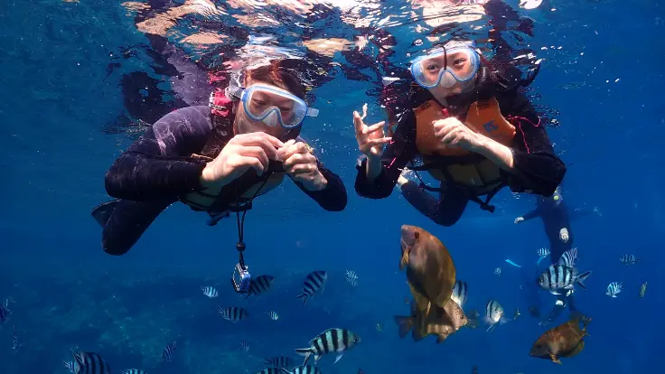 青の洞窟周辺で魚が近くに見える様子をイメージできる写真