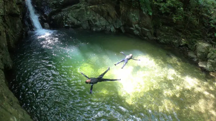 沖縄でやんばるトレッキングを楽しむ様子
