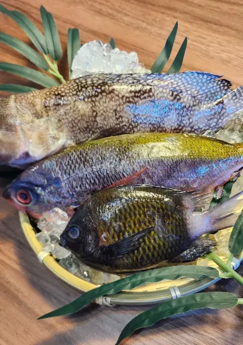 アイランドベースの船釣り画像1