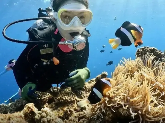 DIVING-SHOP SUNSの体験ダイビングイメージ