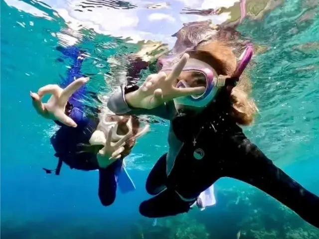 DIVING-SHOP SUNSのシュノーケリングイメージ
