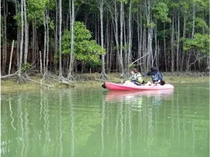 背の高いオヒルギエリアをカヤックで通過する様子