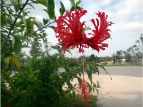 カヤックツーリングを終えて帰着する様子