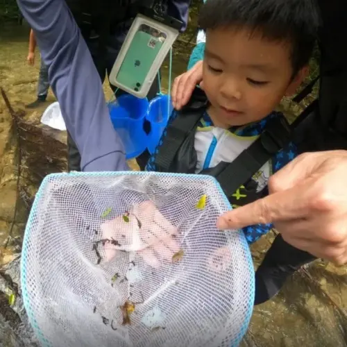 わくわく屋沖縄の体験イメージ