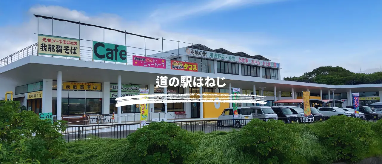 道の駅はねじの店先に、地元野菜やフルーツが並んでいる様子