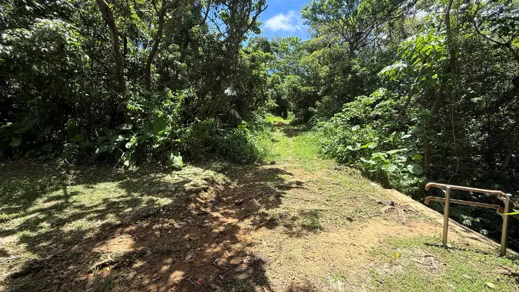 末吉公園西駐車場から末吉宮へ向かう道。森の中を歩いて参拝場所へ進む。