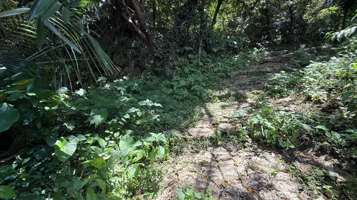 末吉宮へ向かう石段の参道。末吉公園の緑に包まれた静かな道。