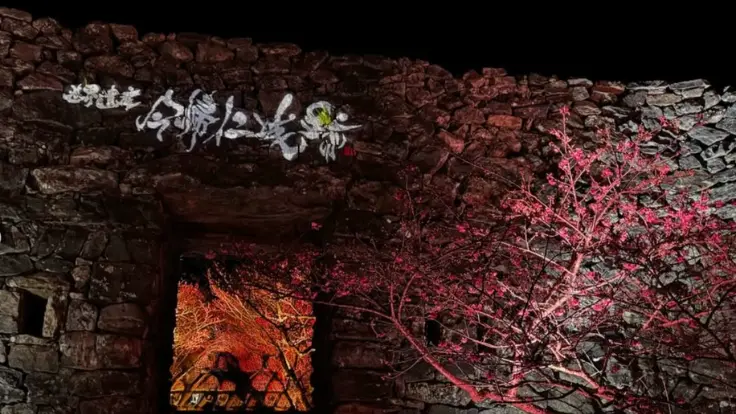 今帰仁城跡 桜ライトアップの風景。城壁と桜が夜の光に染まり幻想的な景色。