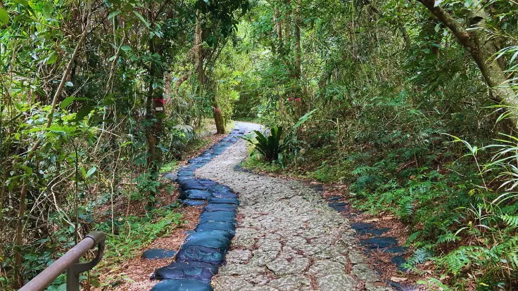 斎場御嶽の石畳の参道。木々に囲まれた緑の中を静かに歩く道