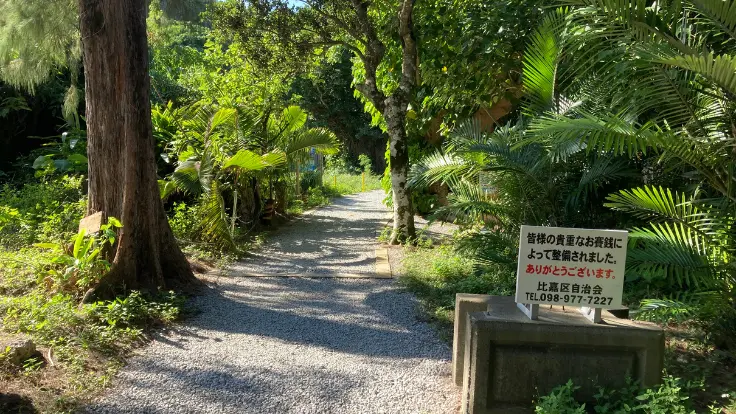 浜比嘉島・シルミチュー霊場へ続く鳥居とガジュマルの根