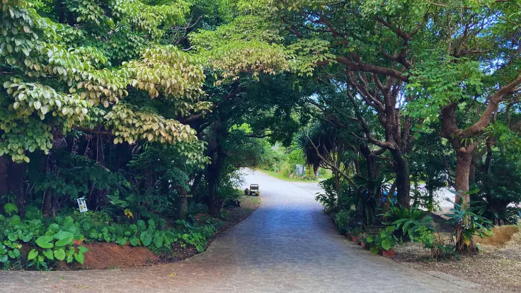 やちむんの里の石畳が続く風情ある道