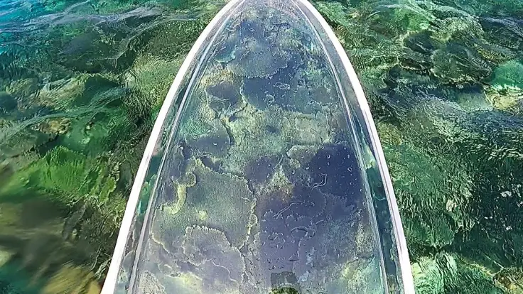 透明なボードごしに沖縄の海がくっきり見えるクリアサップ体験の様子