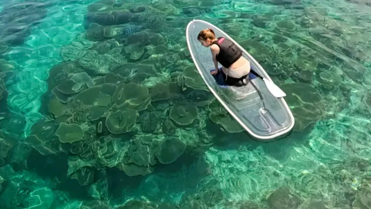 クリアサップの上から沖縄の海をのぞき込み、水中の景色を楽しんでいる様子