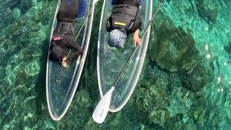 沖縄の海でクリアサップを楽しむ様子。初心者でも座ったまま無理なく体験できるイメージ