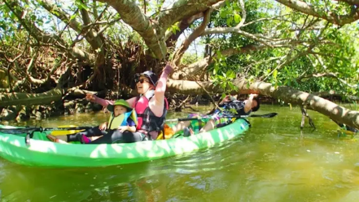 沖縄のマングローブの川でカヤックを楽しむ様子。木々に囲まれた水路をゆっくり進んでいるイメージ