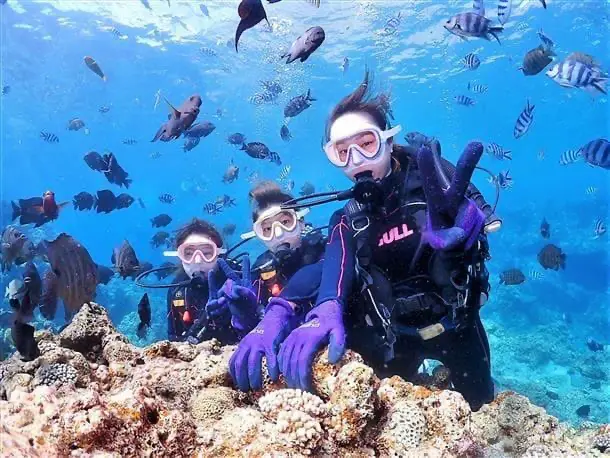 体験ダイビングで魚が近くで見える様子をイメージできる写真