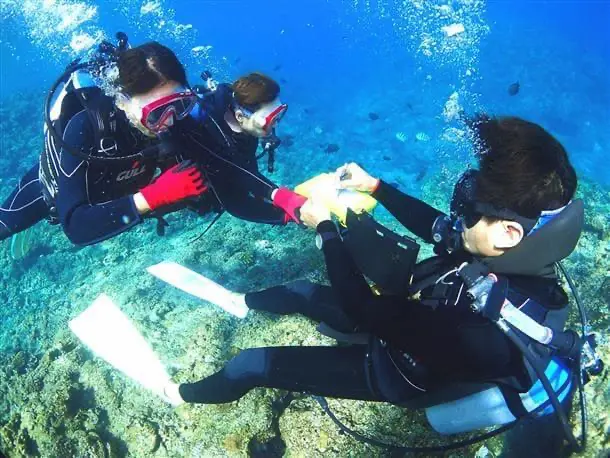 インストラクターと一緒に潜る体験ダイビングをイメージできる写真