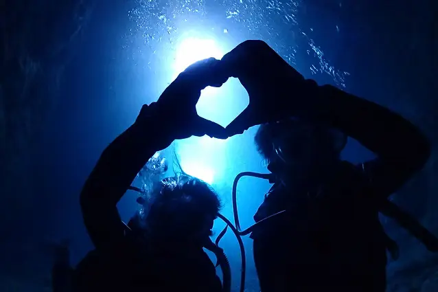 水中での写真撮影イメージが伝わる写真