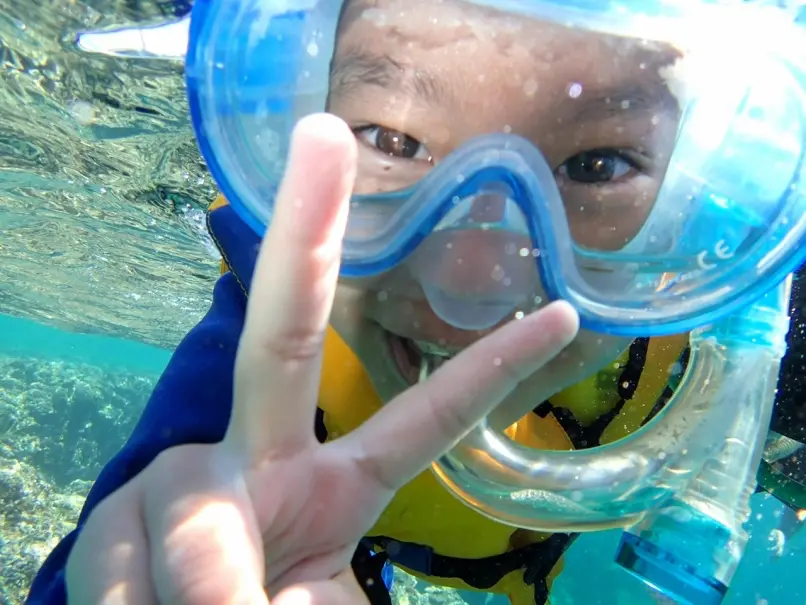 魚を観察する体験をイメージできる写真