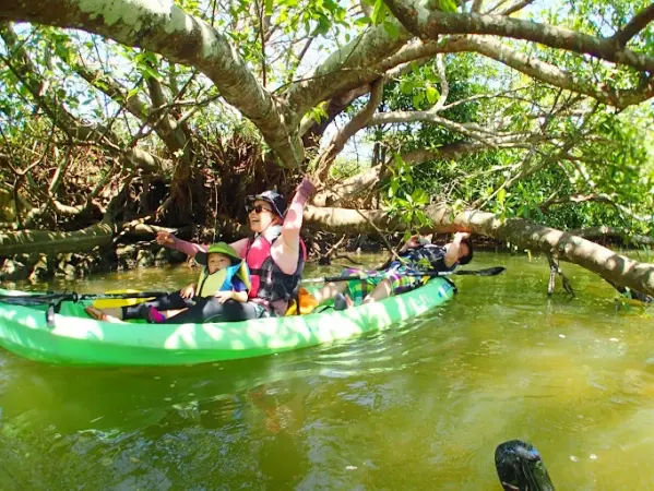 マングローブの川をカヤックで進む雰囲気をイメージできる写真