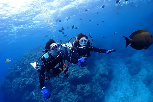 体験ダイビングの水中体験