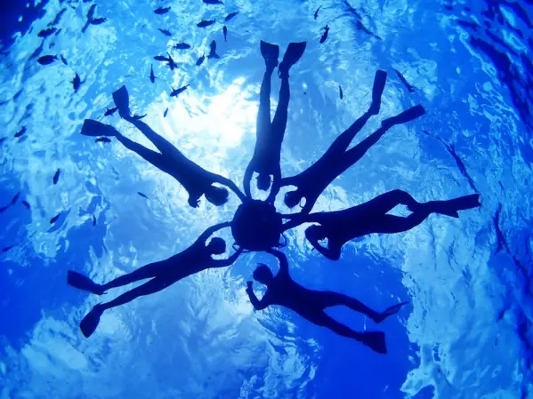 水面から海の中をのぞくシュノーケリングの雰囲気をイメージできる写真