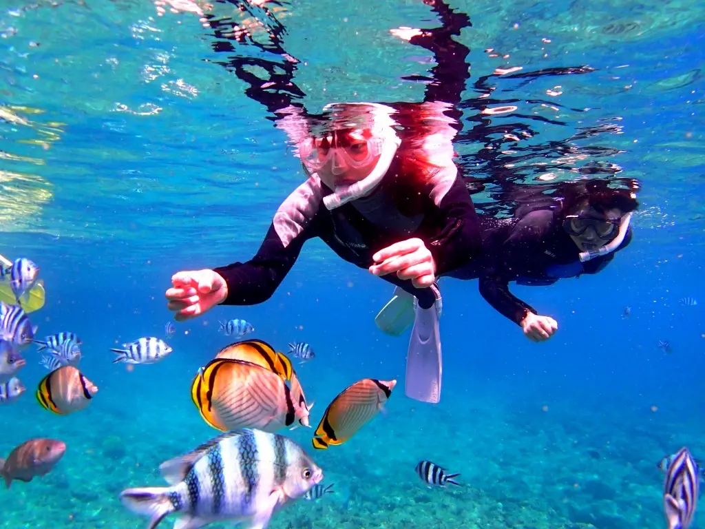 シュノーケリングで魚が見える様子をイメージできる写真