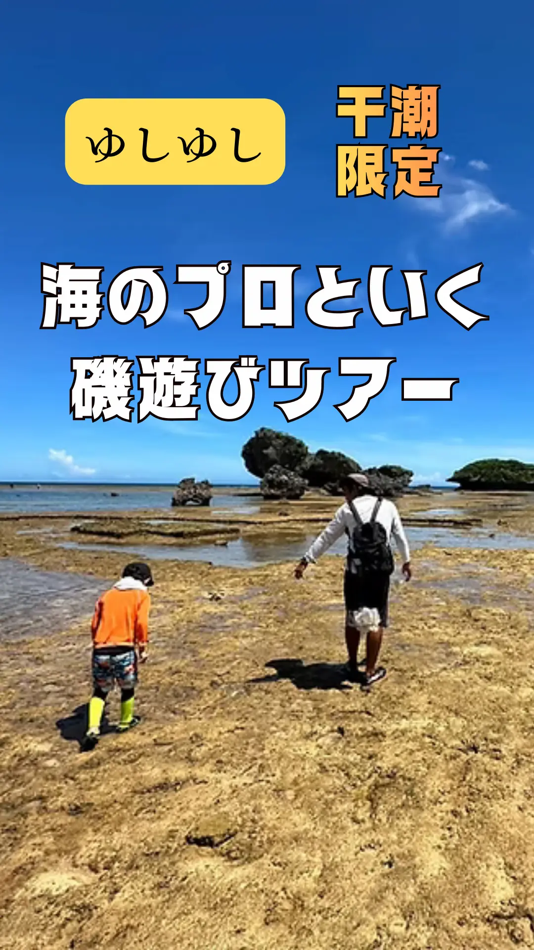 ゆしゆし｜磯遊び特集バナー