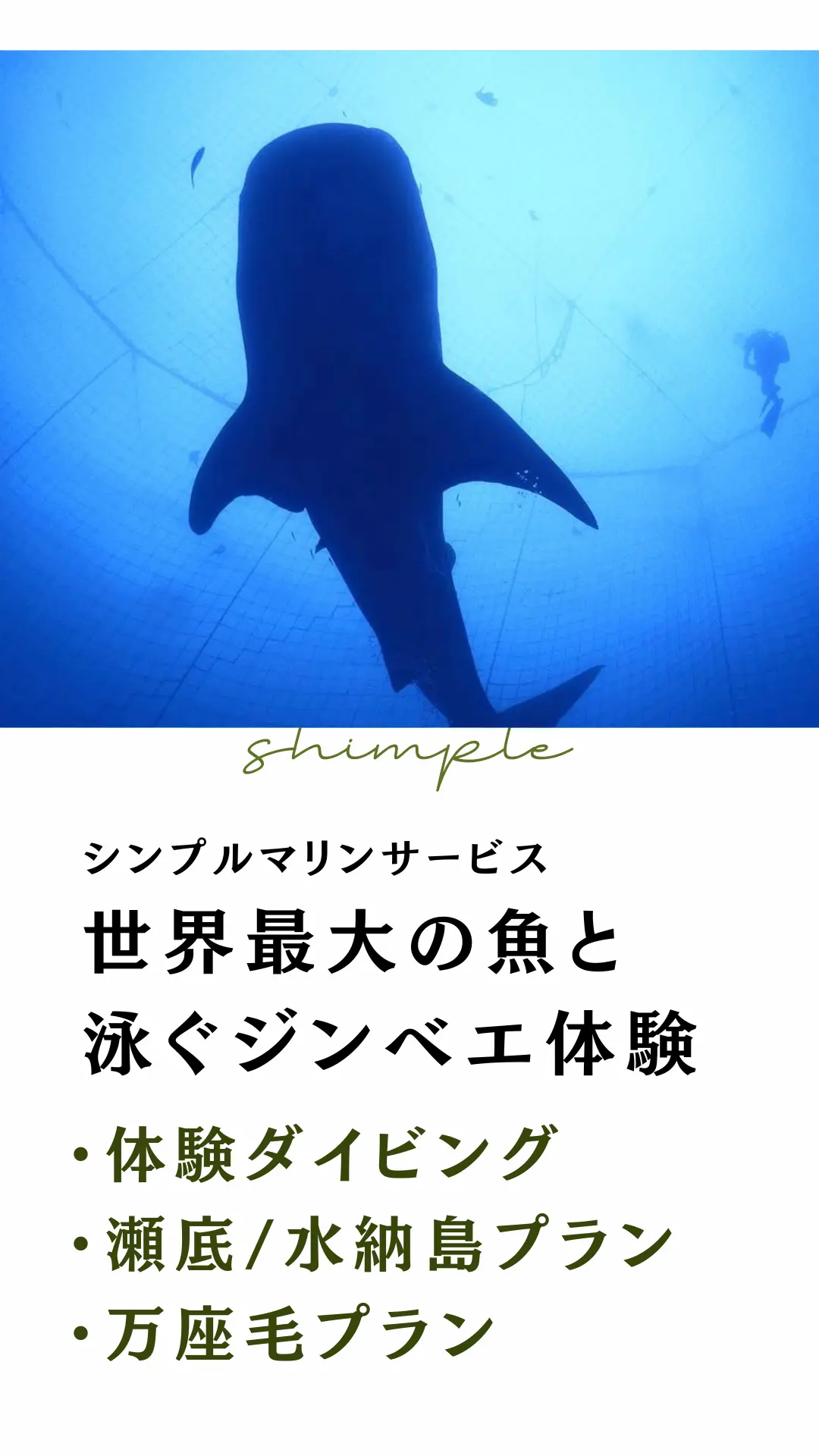 シンプルマリン