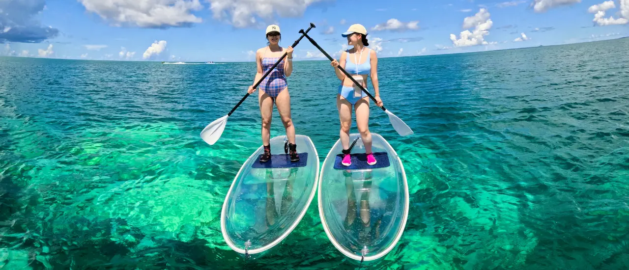 クレアのクリアサップ