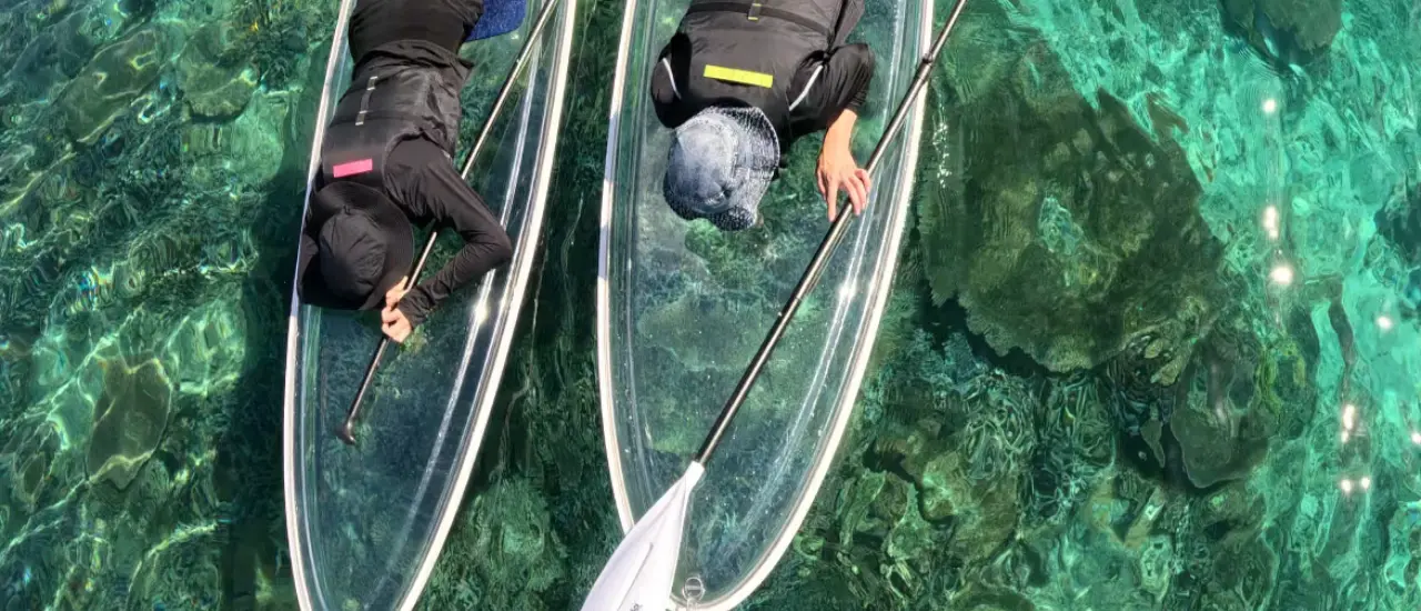 魚やサンゴが見えるスポットへ向かうクリアSUPのイメージ