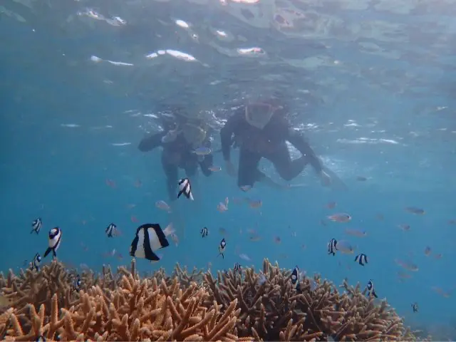 アースシップ沖縄のカヤック体験イメージ5