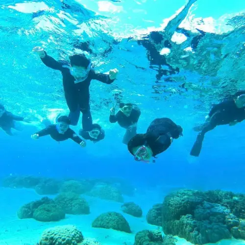 アースシップ沖縄のアクティビティ。沖縄の自然を近くで感じながら楽しむ様子。