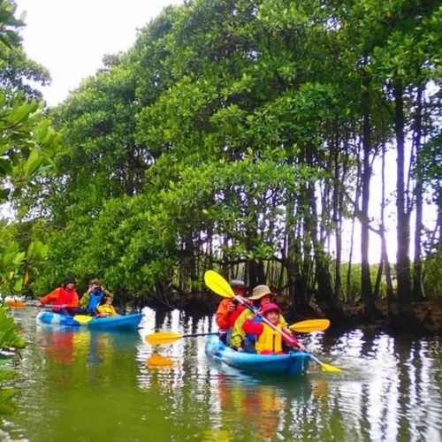 アースシップ沖縄のマングローブカヤック。緑に囲まれた水辺で自然観察を楽しむ様子。