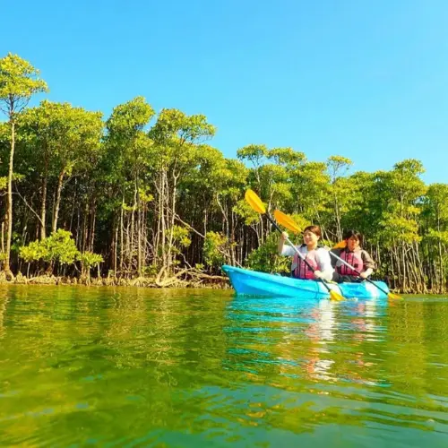 アースシップ沖縄のマングローブカヤック。木々に囲まれた静かな川を進む様子。