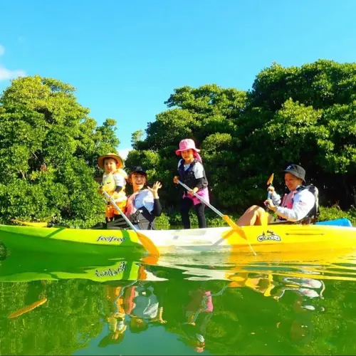 アースシップ沖縄のマングローブカヤック。水面の近くからマングローブの自然を観察する様子。