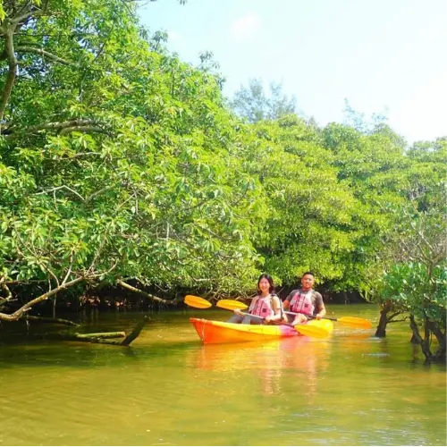 アースシップ沖縄のマングローブカヤック。金武町の川から海へ向かう自然体験の雰囲気。