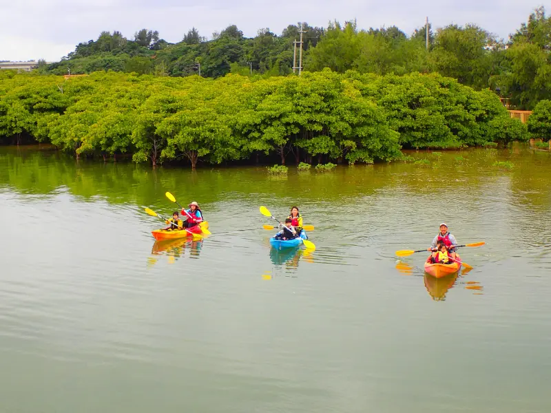マングローブカヤック&シーカヤックのイメージ