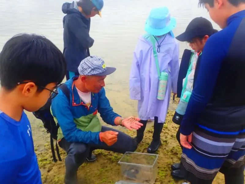 アースシップ沖縄の無人島生き物観察ツアー。浅瀬で海の生き物を観察する自然体験の様子。