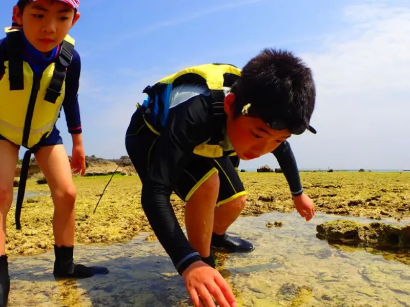 アースシップ沖縄の無人島生き物観察ツアー。サンゴ礁の浅瀬で自然観察を楽しむ様子。