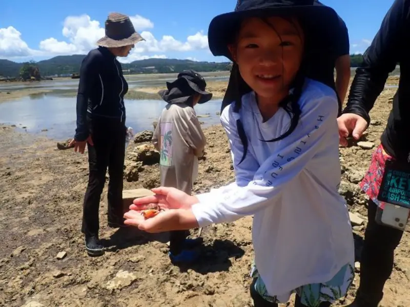 アースシップ沖縄の無人島生き物観察ツアー。海辺で生き物や自然の不思議を観察する様子。