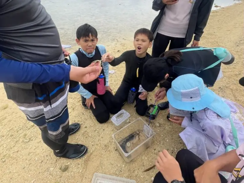 アースシップ沖縄の無人島生き物観察ツアー。干潮の海でサンゴや貝殻を見つける体験の様子。