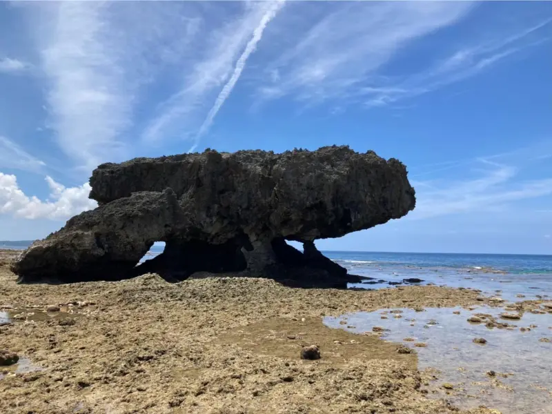 アースシップ沖縄の無人島生き物観察ツアー。浅瀬を歩いて沖縄の海の自然を近くで感じる様子。