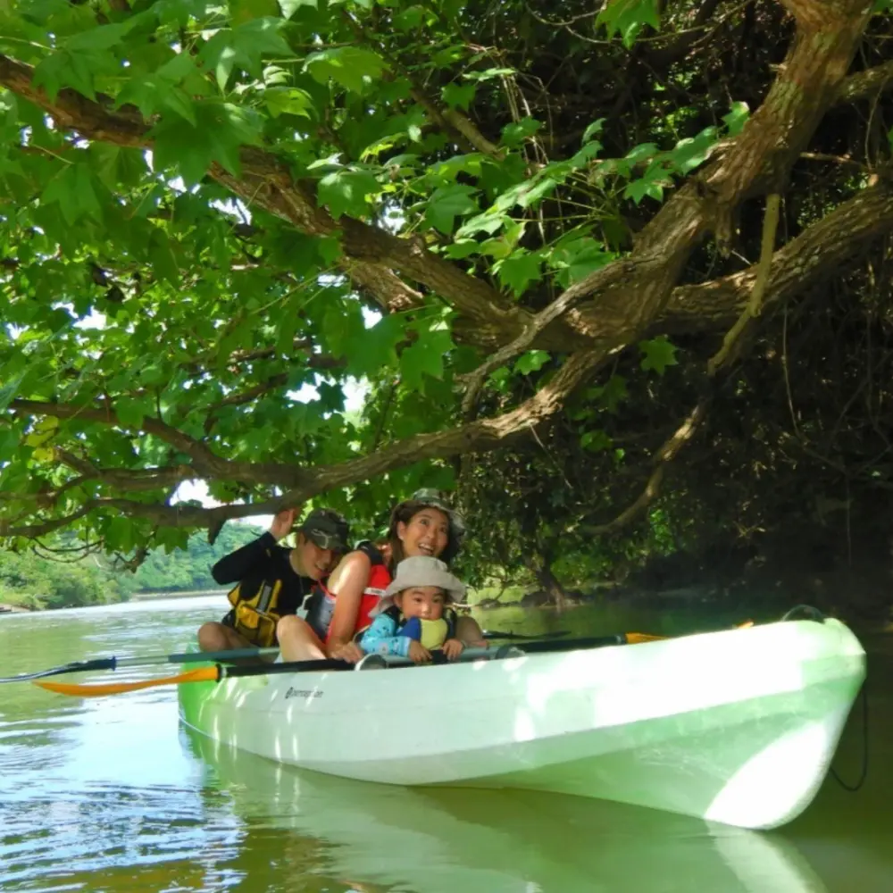 家族でマングローブカヤックを楽しむイーズのツアー風景