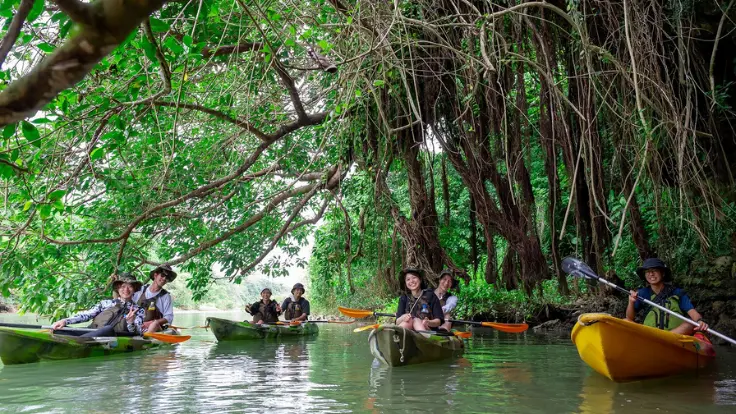 木々のトンネルをカヤックで進む比謝川マングローブツアーの様子