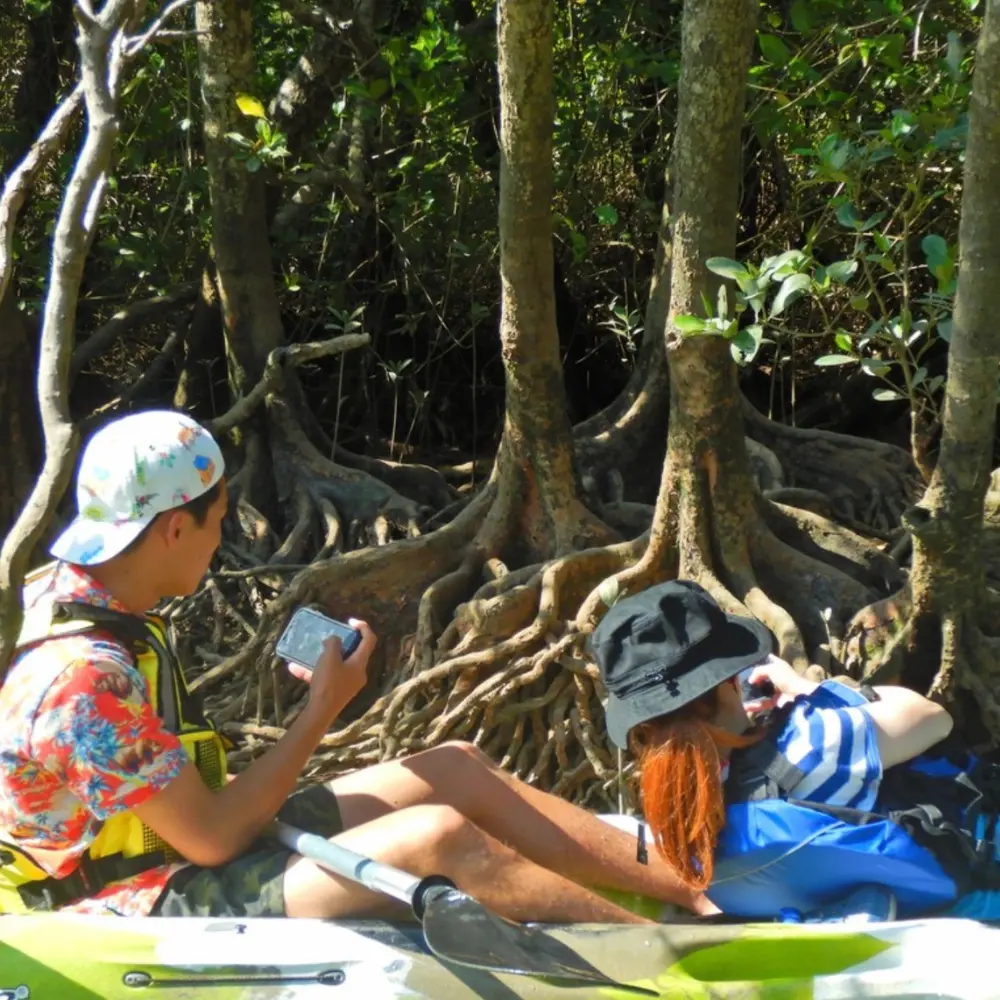 マングローブの近くまで進むカヤックツアーの様子