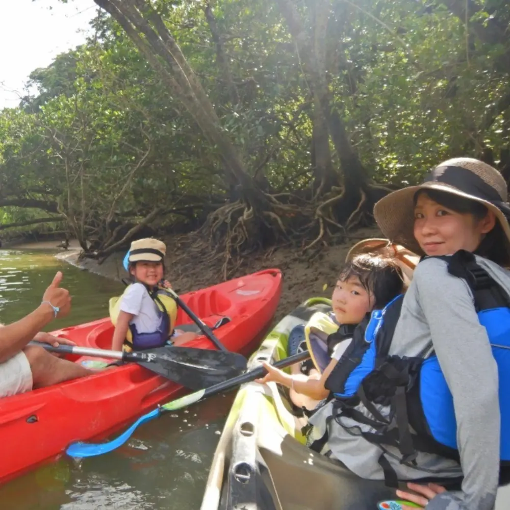 生き物観察を楽しむ子供連れのマングローブカヤック体験