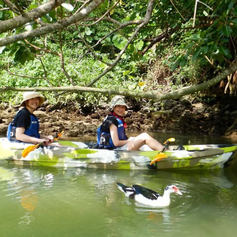 カヤックの近くにタイワンアヒルが寄ってきた比謝川の様子