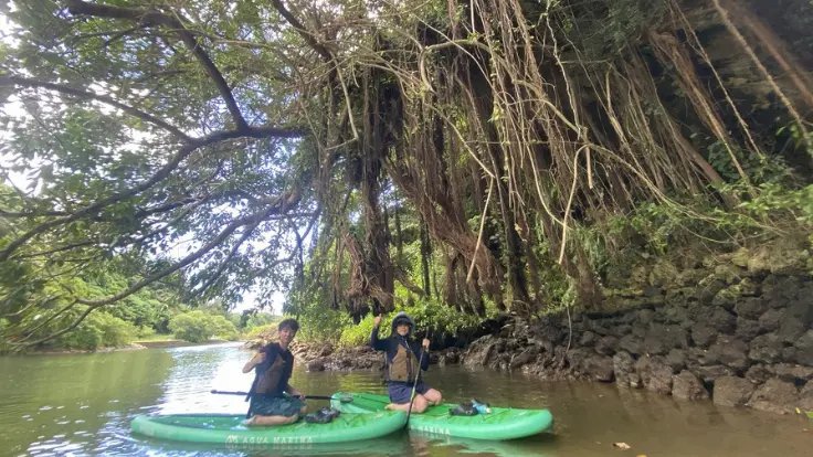 マングローブの自然を体験できる比謝川SUPツアーの風景