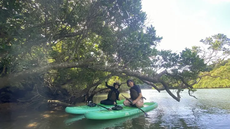 木々の間をくぐり抜けるように進むマングローブSUPの様子